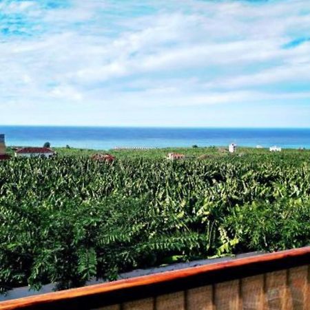 Apartamento El Tejar Tazacorte Kültér fotó